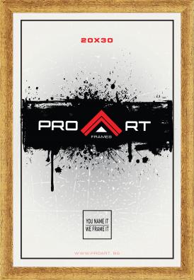 PVC Photo Frames - Moulding DL 1510