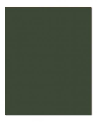 W163